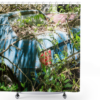 Personality  Blue Mustang In Weeds Shower Curtains