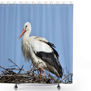 Personality  White Stork (Ciconia Ciconia) Shower Curtains