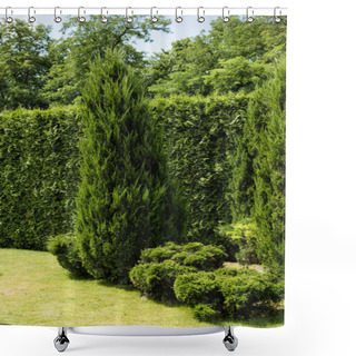 Personality  Green Fir Tree Near Bushes And Plants On Grass In Park  Shower Curtains