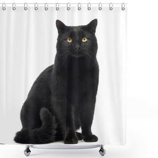 Personality  Black Cat Sitting And Looking At The Camera, Isolated On White Shower Curtains