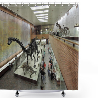 Personality  Moscow. Museum Of Paleontology. Archaeological Museum Dinosaur Skeleton Shower Curtains
