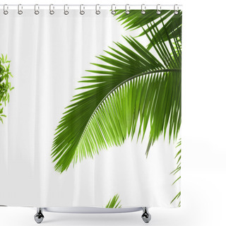 Personality  Leaves Of Palm Tree Shower Curtains