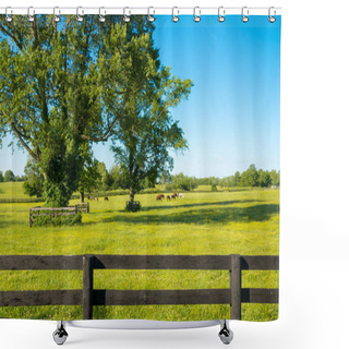 Personality  Green Pastures Of Horse Farms. Country Summer Landscape. Shower Curtains