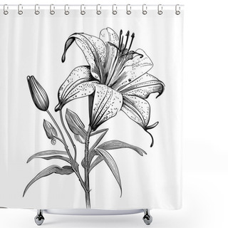 Personality  Lily Flowers Sketch Hand Drawn In Doodle Style Illustration Shower Curtains