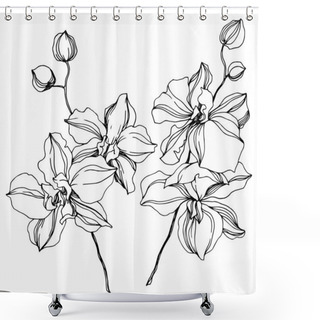 Personality  Orchid Floral Botanical Flowers. Black And White Engraved Ink Art. Isolated Orchids Illustration Element. Shower Curtains
