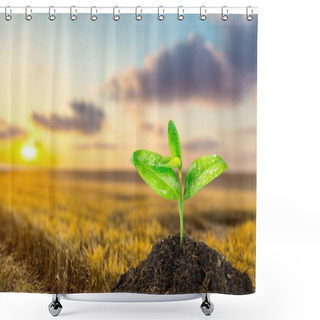 Personality  Green Plant In Soil Shower Curtains