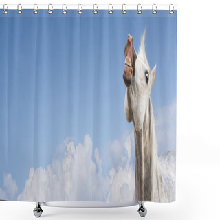 Personality  White Horse Smiling On Sky Background,banner Shower Curtains