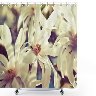 Personality  White Lily Flower Shower Curtains