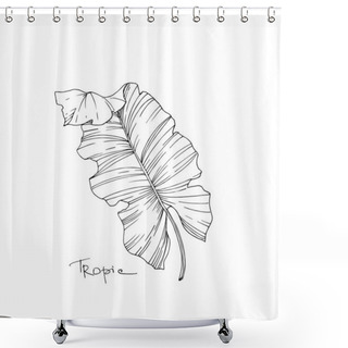 Personality  Vector Palm Beach Tree Leaves Jungle Botanical. Black And White Engraved Ink Art. Isolated Leaves Illustration Element. Shower Curtains