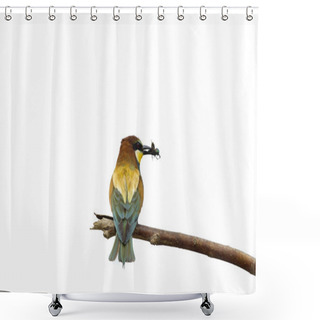 Personality  Bee Eater On The Tree Isolated On White Shower Curtains