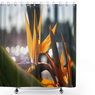 Personality  Flowers Shower Curtains