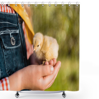 Personality  Cropped Image Of Kid Holding Adorable Yellow Baby Chick Outdoors  Shower Curtains