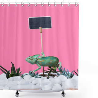 Personality  Beautiful Exotic Chameleon Crawling On Stones And Succulents, Blank Sign Isolated On Pink  Shower Curtains