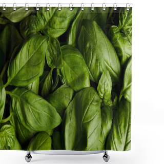 Personality  Full Frame Shot Of Ripe Green Basil For Background Shower Curtains