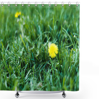Personality  Yellow Blooming Dandelions On Spring Meadow Shower Curtains