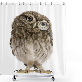Personality  Little Owl, 50 Days Old, Athene Noctua, Standing In Front Of A White Background Shower Curtains