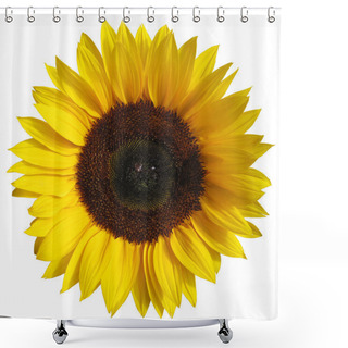 Personality  The Sunflower Isolated On White Background With A Clipping Path Shower Curtains