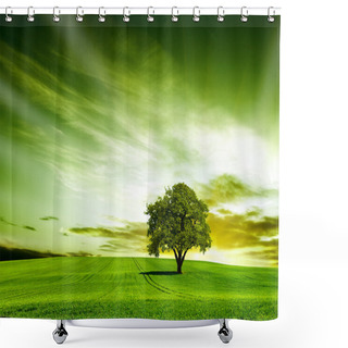 Personality  Spring Meadow With Big Tree With Fresh Green Leaves Shower Curtains