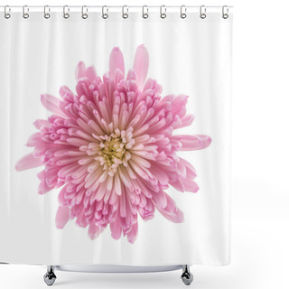 Personality  Pink Chrysanthemum Flower Shower Curtains