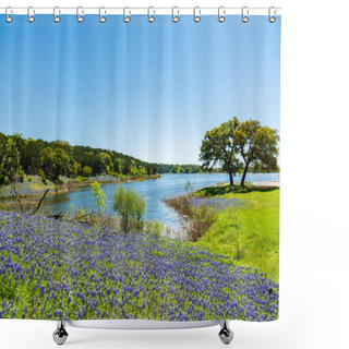 Personality  Beautiful Texas Bluebonnets Shower Curtains