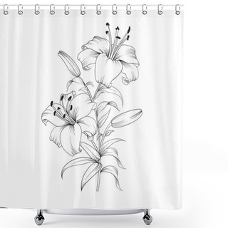 Personality  Blooming Lily Flower. Shower Curtains