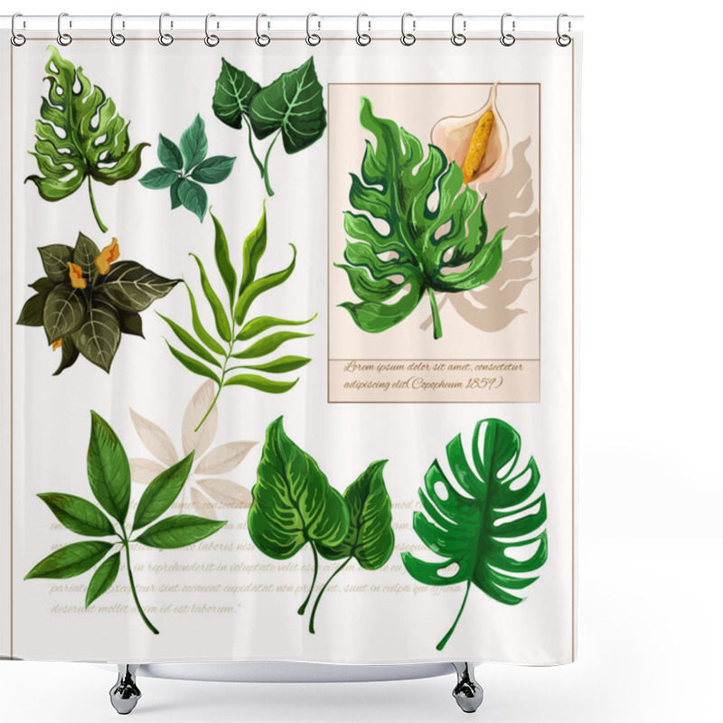 Personality  Green Tropical Leaves Pictograms Set Shower Curtains