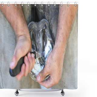 Personality  Closeup Photo Of Hooves Of A Saddle Horse On Animal Farm At Rura Shower Curtains