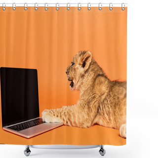Personality  Side View Of Cute Lion Cub Lying Near Laptop With Blank Screen On Orange Background Shower Curtains