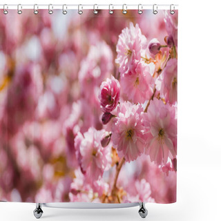 Personality  Macro Photo Of Pink Flowers On Branch Of Blooming Cherry Tree Shower Curtains