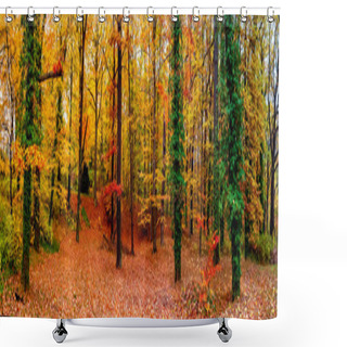 Personality  Panoramic View Of Deciduous Forest At Golden Autumn Colors During Warm Sunset, Sunny Day Shower Curtains