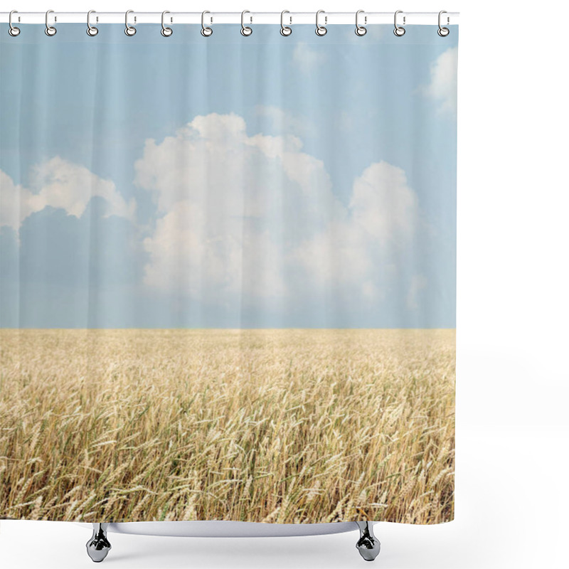 Personality  Wheat Field And Blue Sky With Clouds Shower Curtains