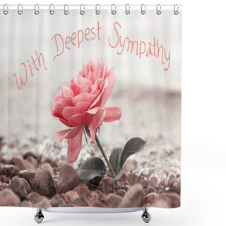 Personality  One Rosy Rose Flower At The Stony Beach, With Sympathy Text Shower Curtains