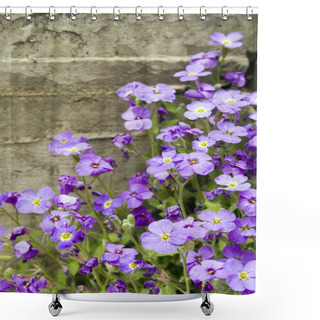 Personality  Little Violet Flowers Shower Curtains