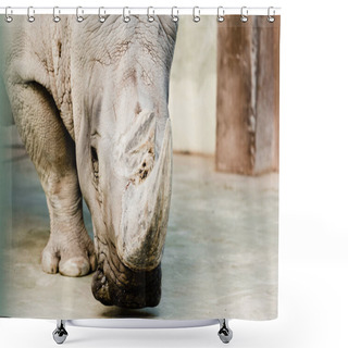 Personality  Selective Focus Of Rhino With Big Horn In Zoo  Shower Curtains