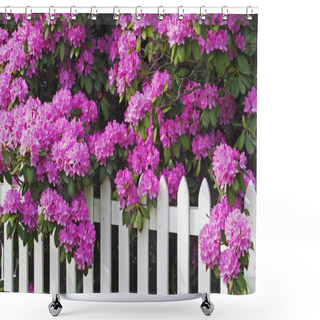 Personality  Rhododendrons And Picket Fence Shower Curtains