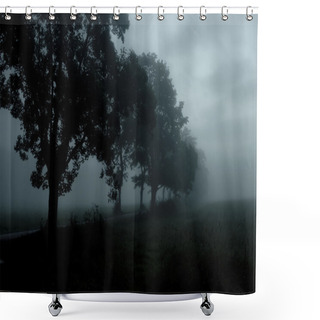 Personality  Dark Trees Shower Curtains