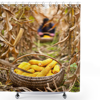 Personality  Basket With Corn In The Field Shower Curtains