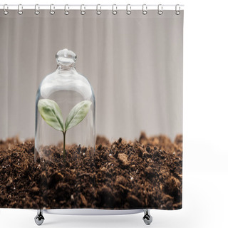 Personality  Small Green Plant Covered Under Bell Jar Isolated On Grey Shower Curtains