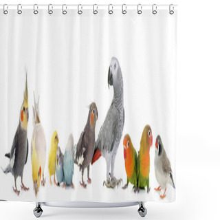 Personality  Group Of Birds Shower Curtains