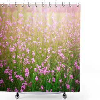Personality  Beautiful Wild Flowers In The Green Grass. Shower Curtains