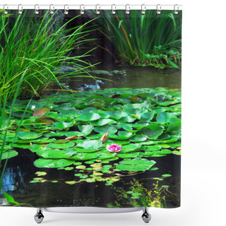 Personality  Lanscape Pond With Aquatic Plants And Water Lilies Shower Curtains