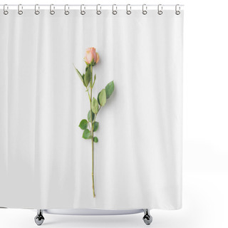 Personality  Rose Flower With Stem Shower Curtains