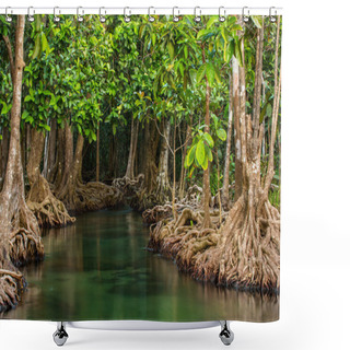Personality  Mangrove Trees Along The Turquoise Green Water In The Stream Shower Curtains