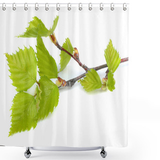 Personality  Birch Leaf Isolated On A White Background Shower Curtains