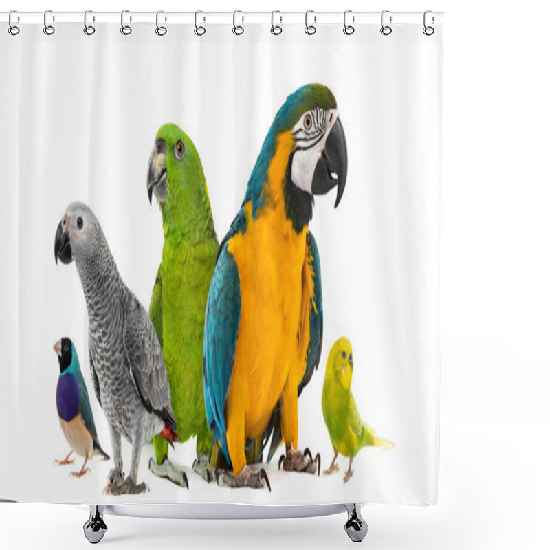 Personality  Goup Of Parrots In Front Of A White Background Shower Curtains