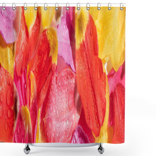 Personality  Top View Of Bright Tulip Petals With Water Drops, Panoramic Shot Shower Curtains