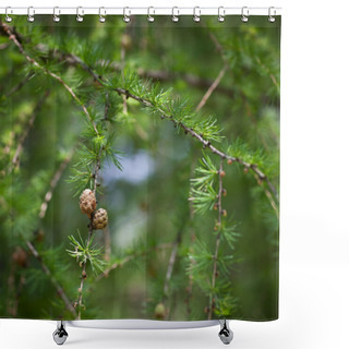 Personality  Closeup Of European Larch Shower Curtains