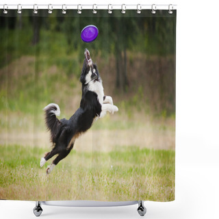 Personality  Frisbee Dog Shower Curtains
