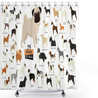 Personality  Breeds Of Dogs Isolated Objects Shower Curtains