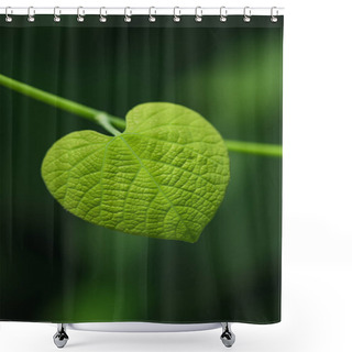 Personality  Heart Shaped Leaf On Blurred Green Background Shower Curtains